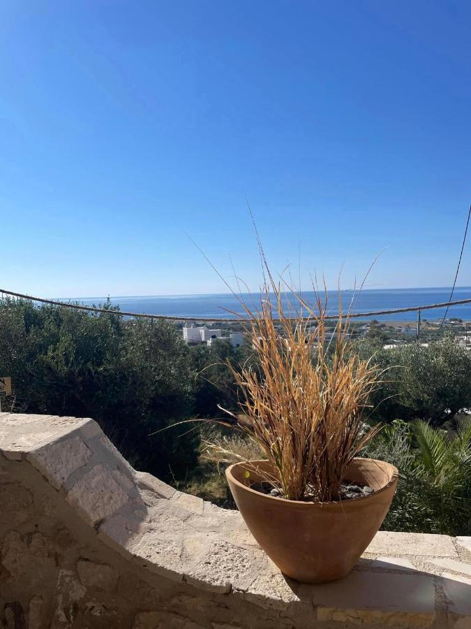 Markos Home Koutsounari Dış mekan fotoğraf